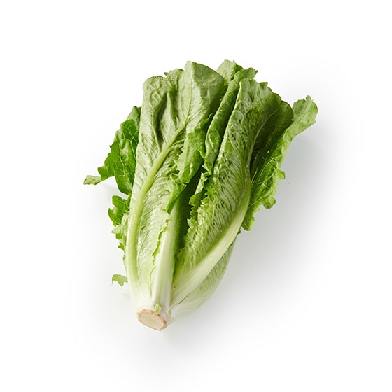 ���ł��u�߂Ă��I�����C�����^�X(��錧�Y)