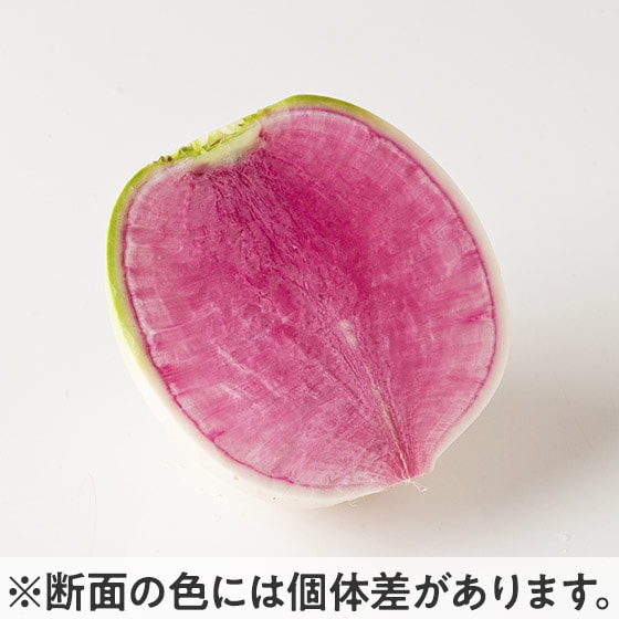 大根のえ 切ってビックリ！華やか紅芯大根(群馬県産)|有機野菜 通販