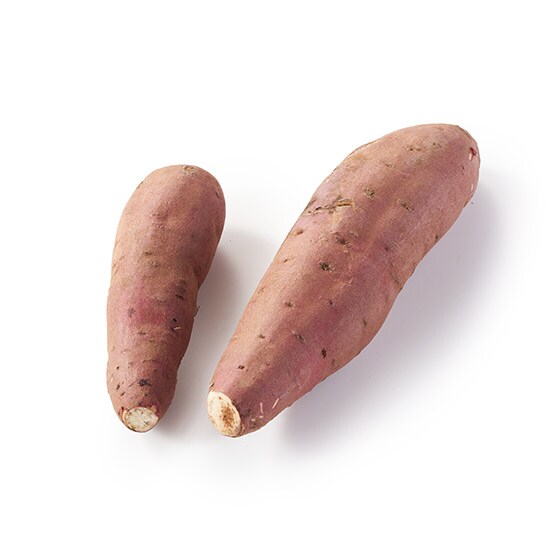 ��������Q���������܂���(�g�͂邩 ��t���Y)