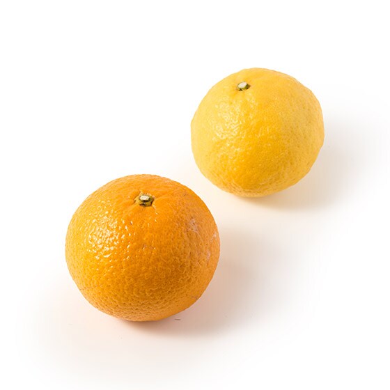 Â̈ႢyŁI 쑺̊kZbg