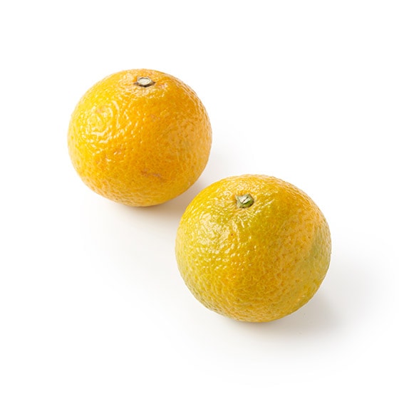 �T���_��}���l�ɂ��I�X�C�[�g�X�v�����O(�F�{���Y)