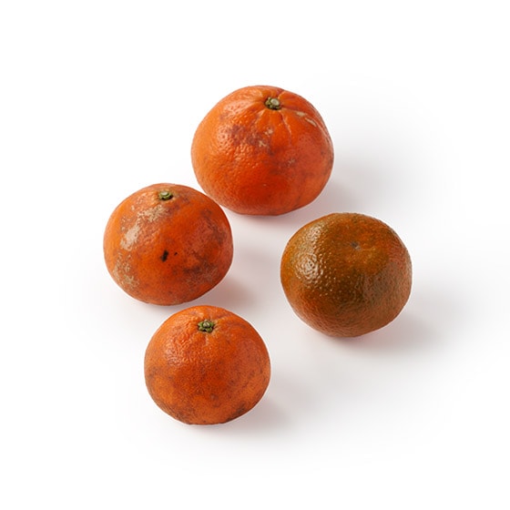 ��łނ���I�R�N�̂���Â� ����Y�_�u���}�[�R�b�g