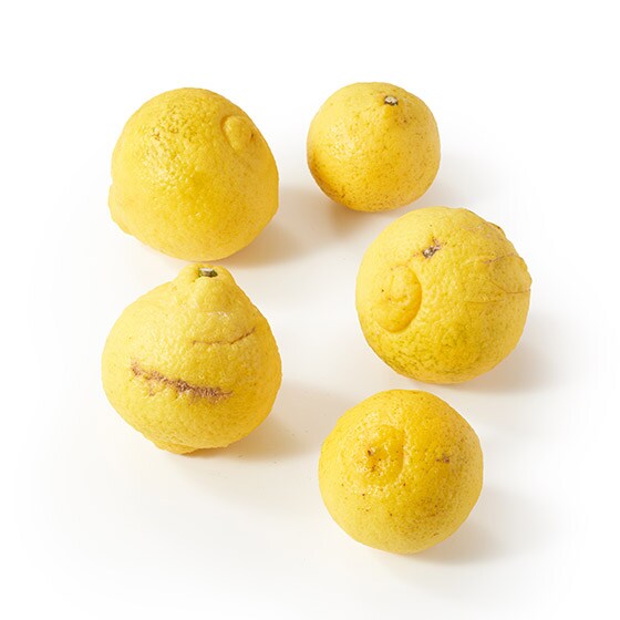 �y��������Oisix�z[��e��]�ӂ��낢�͂邩(���茧�Y)