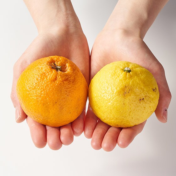 甘さの違いを楽しんで！ミニ柑橘セット(熊本県産)|有機野菜 通販