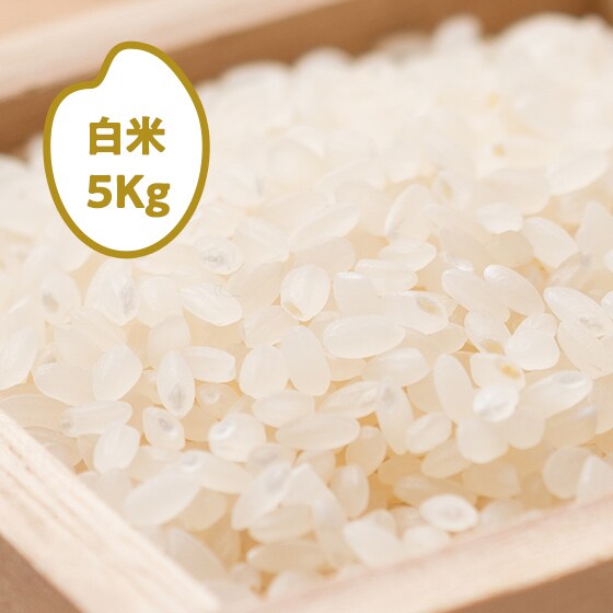 【2021年産米】山形県ひとめぼれ白米5kg