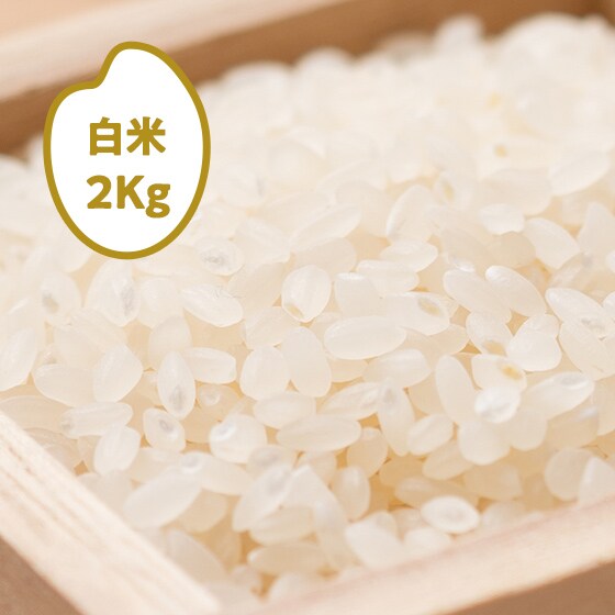 �y2021�N�Y�āz�R�`����P����2kg
