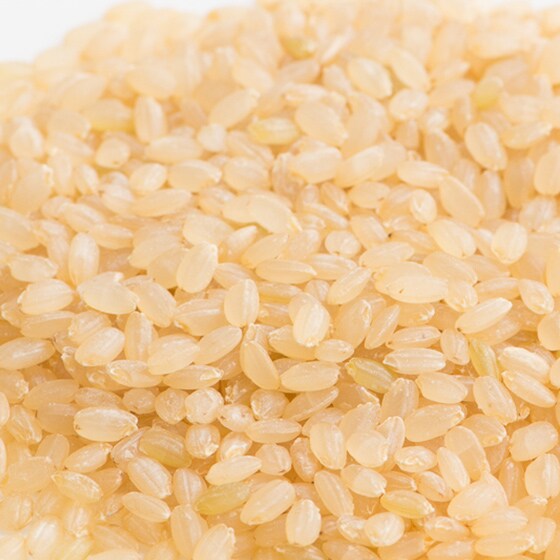 夢ごこち 兵庫県丹波産 胚芽米 2kg オイシックス公式