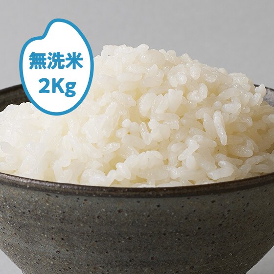 �y2022�N�ė\��z���� �R�`���Y(������)2kg 3��