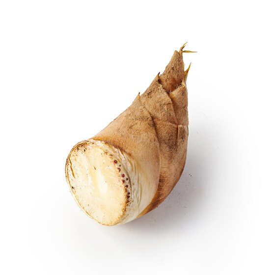 �t�̖��킢 ���̂��炩�����̂�(�F�{���Y)