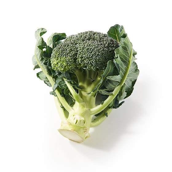 �₳�����Â� �u���b�R���[(�F�{���Y)