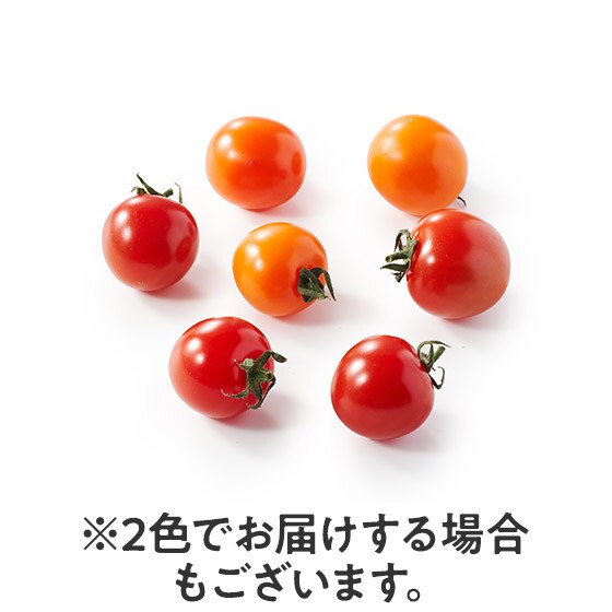 おたすけOisix】ふぞろいカラフルミニトマト|有機野菜 通販