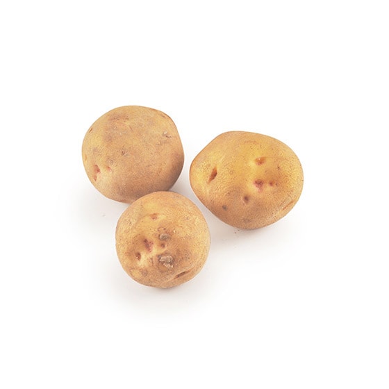 yCookBoxzʂႪ(300g j kCY)