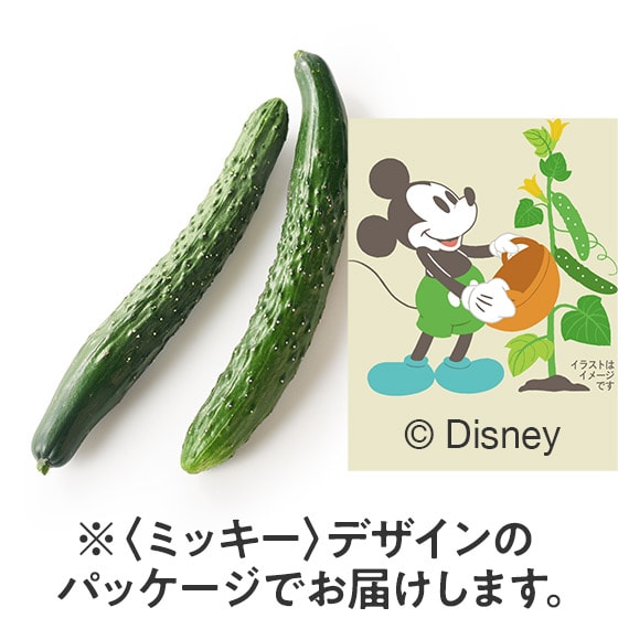 ~bL[}EXイ(QnY)