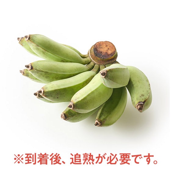 D݂̖ɈĂ oii(ꌧY)