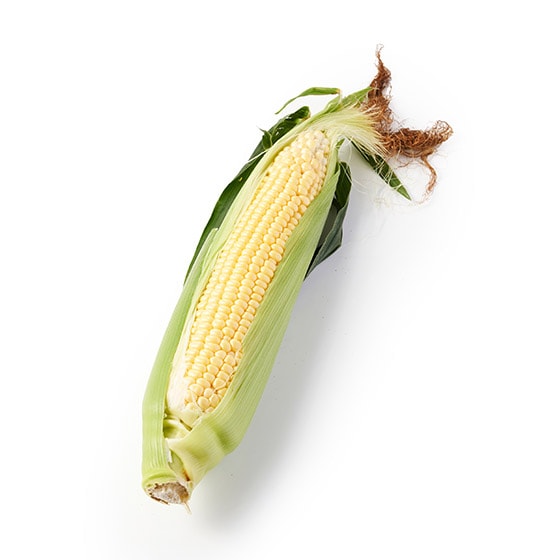 ՂƂ͂IÂ݂Ƃ낱(kC)