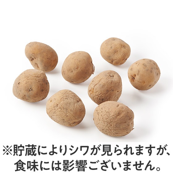 �k�C���̑�n�ň���� �s�������Ⴊ����(�k�C���Y)