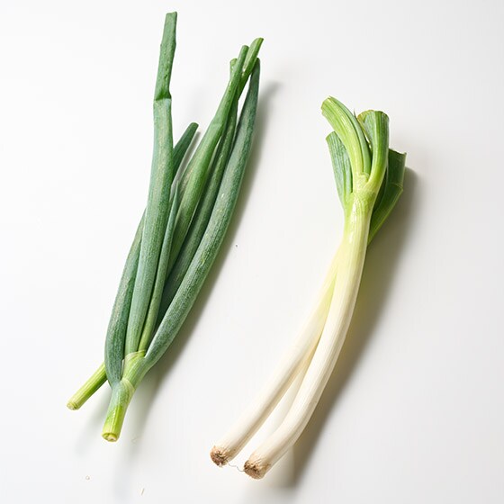 長ねぎとの比較です