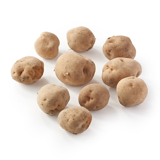 �y��e�ʁz�V���L�[���Ⴊ����(�k�C���Y)