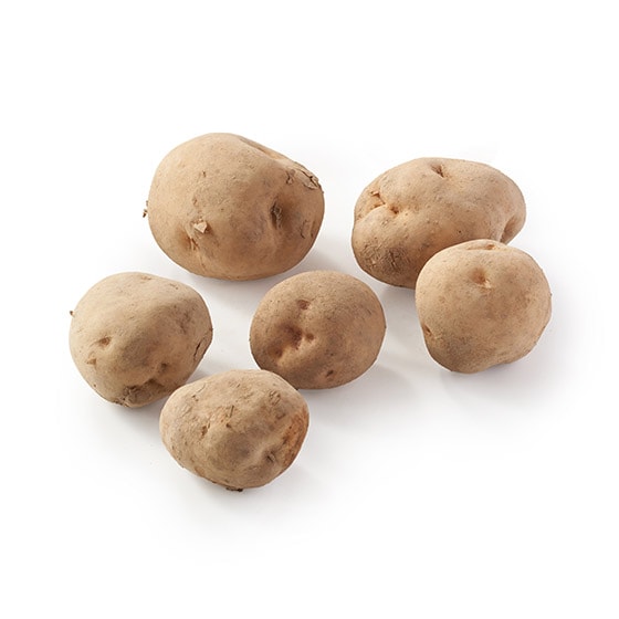 �y���ʁz�V���L�[���Ⴊ����(�k�C���Y)