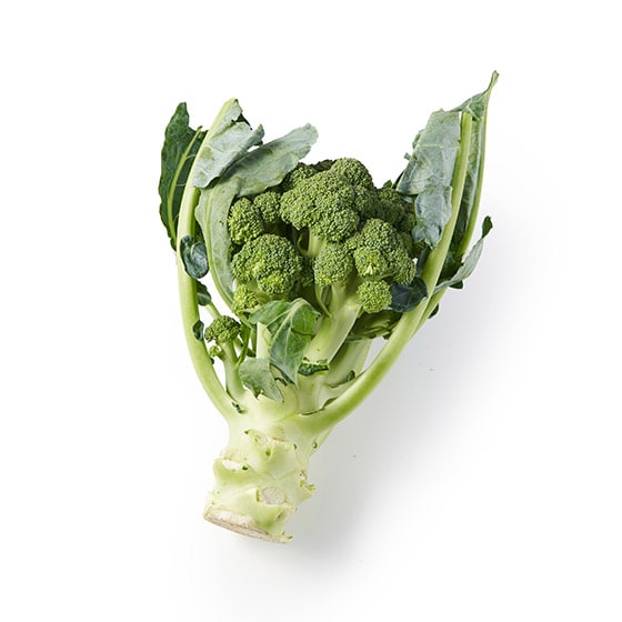 �݂��݂������Â� �u���b�R���[(��ʌ��Y)