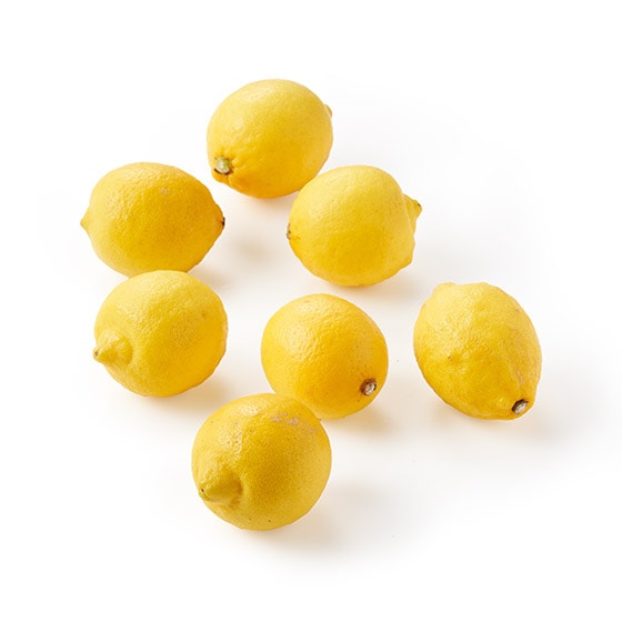 �y��e�ʁz��[������� ��������������(��t���Y)