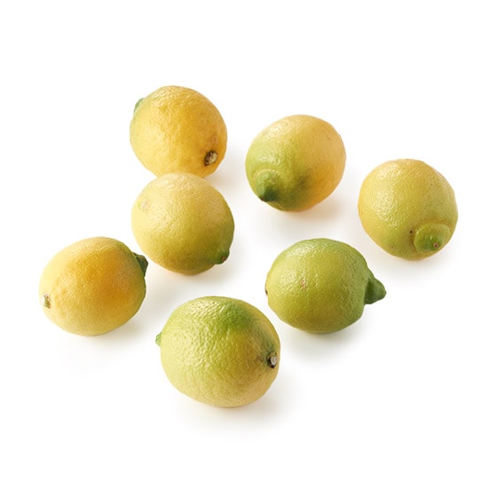 �y��e�ʁz��[������� ��������������(��t���Y)