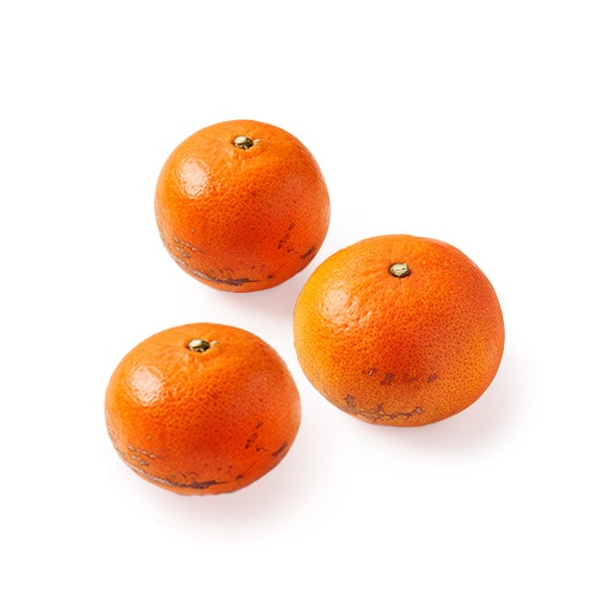 �`���̉ʎ��_�Ƃ����� �݂͂�݂���(�F�{���Y)