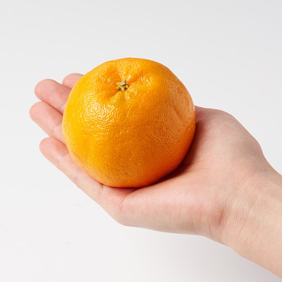 �n��150�N�I16��ڐ؂���̂������|���J��