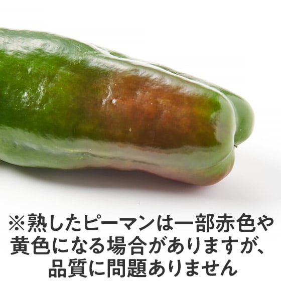 ピーマン(鹿児島県産)|有機野菜 通販 Oisix(おいしっくす)