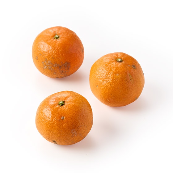 �Ղ���ƔZ���I���܂Ղ�݂���(�ÔV�P �F�{���Y)