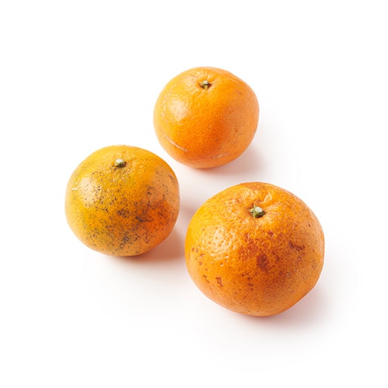 �Ղ���ƔZ���I���܂Ղ�݂���(�ÔV�P �F�{���Y)