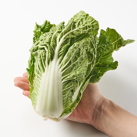 �y��������Oisix�z�܂��ĂȂ�����(��ʌ��Y)