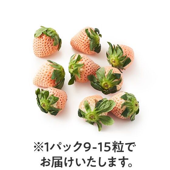 �y�\��z�D�����Â� �W�Ⴂ����(���ꌧ�Y)