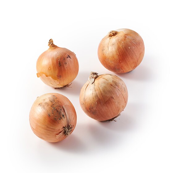 yʁzkC̑nň ʂ˂(kCY)