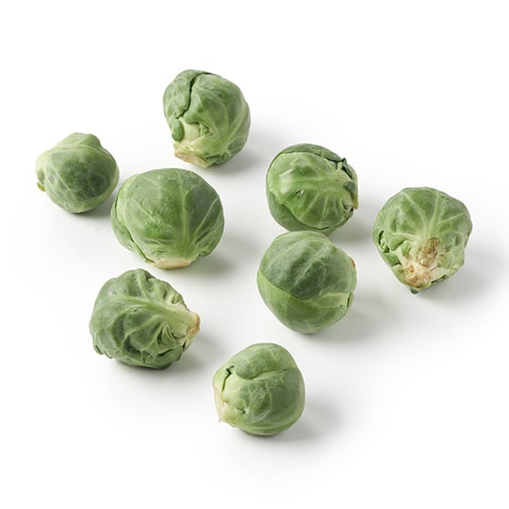 �Ă��Ă��ύ���ł��I��L���x�c(�É����Y)