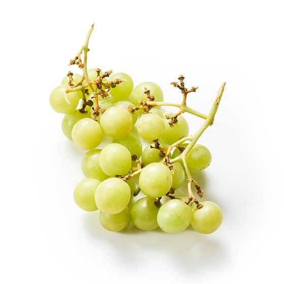 �Â��͂�����I�N���X�s�[�Ԃǂ�(�� AUS�Y)