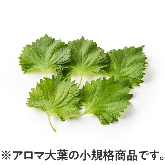 yfOisixʓYzS(t5 錧Y)