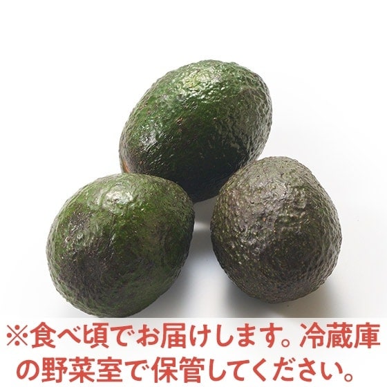 濃厚！樹熟リッチミニアボカド(3玉 メキシコ産)|有機野菜 通販