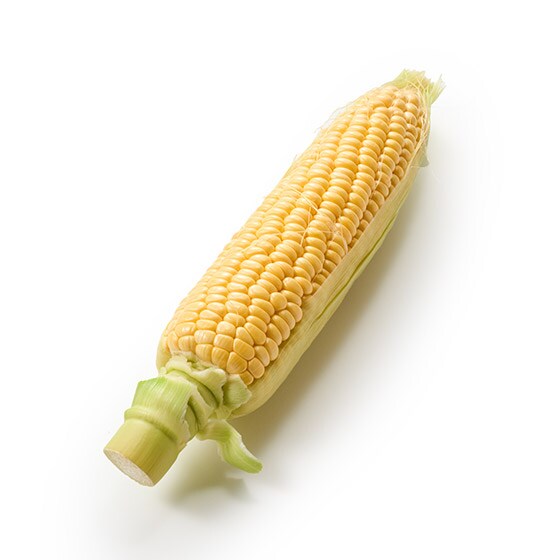 낢IÁXƂ낱(ÉY)