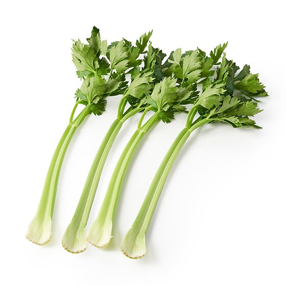 yOisixzyeʁzăZ(ÉY)