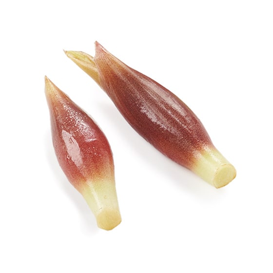 爽やかな酸味と風味！レモン(1玉 NZ産)|有機野菜 通販