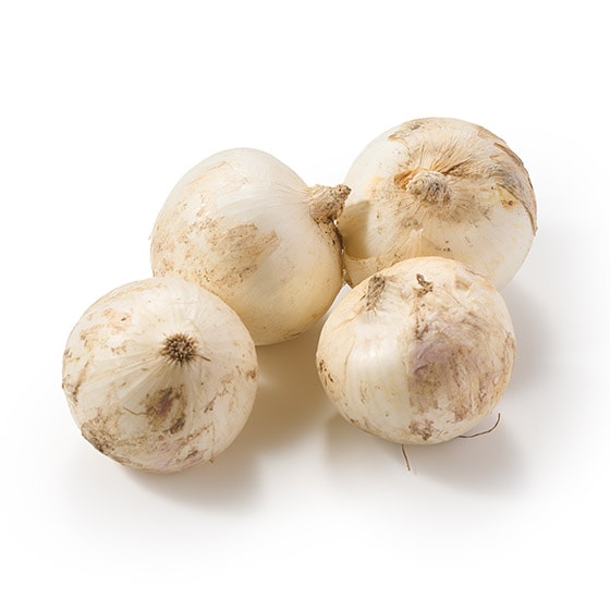 yeʁzÂ݃WbƔʂ˂(a̎RY)