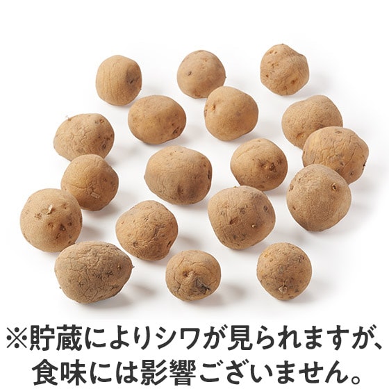 �y��e�ʁz�|�݂𖡂키 �s�������Ⴊ����(�k�C���Y)