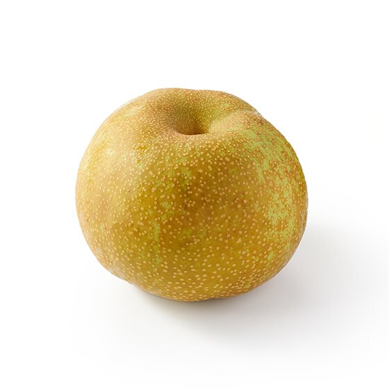 ʂŖ키X r(F{Y)