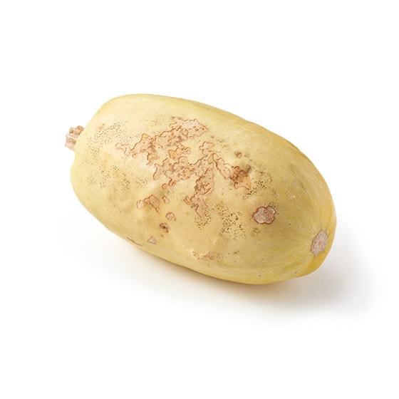 قăVLVLI߂񂩂ڂ(VY)