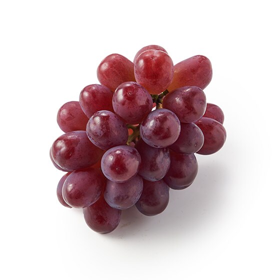 �Â�����߂��ʎ��̕�� �N�C�����[�W��(R)(1�[ ����)