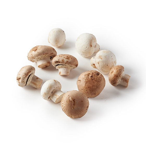 マジックマッシュルーム完全栽培マニュアル 楽天市場】マジックマッシュルーム（本・雑誌・コミック）の通販