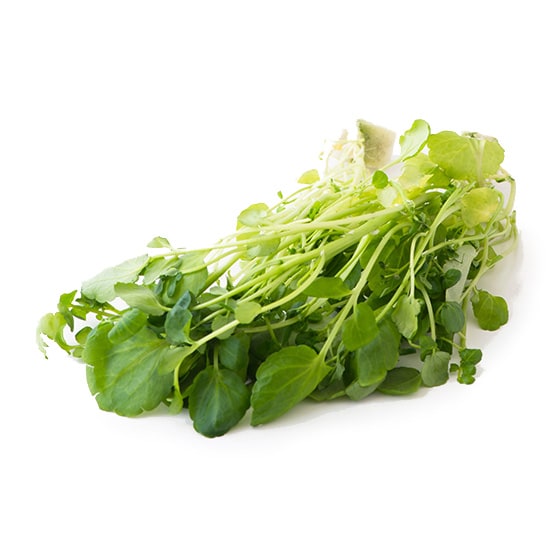 茎まで美味しい!サラダクレソン(福井県産)