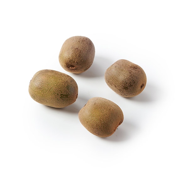 ݂͂LEC(ʌY)