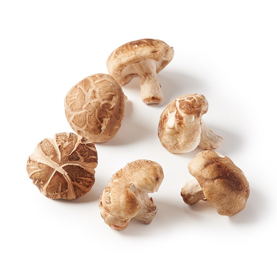 ԍ̂̎|݁Iǂ񂱂(쌧Y)